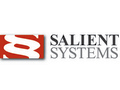 Salient Systems logo