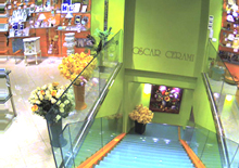 Interior of shopping centre, with Ip camera