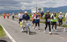 The Tokushima Marathon