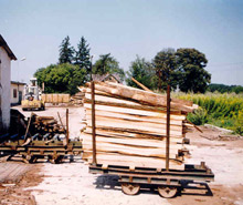 A lumberyard in Nyirgelsei, Hungary