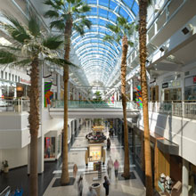 Arden Fair mall interior