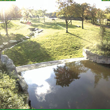 MOBOTIX cameras in use at Opel Zoo, Germany