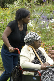 Members of the ACCG enjoy an AD Group-sponsored visit to Ness Gardens