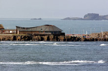 The Scottish Seabird Centre