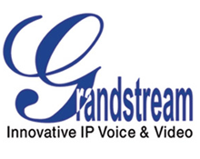 Martin Morris is the new Sales Director for IP video solutions manufacturer, Grandstream Networks