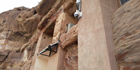 VIVOTEK IP cameras, NVRs and VMS guard the ancient city of Petra