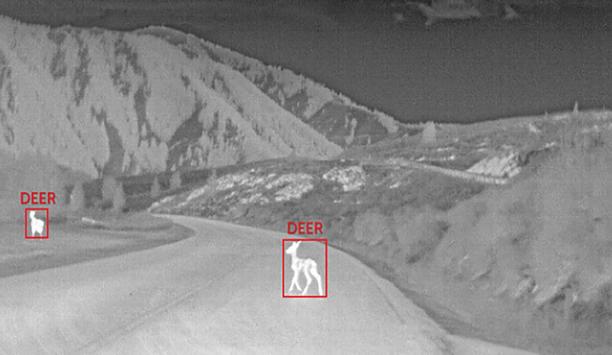 Thermal imaging for large animal detection to help reduce wildlife vehicle collisions