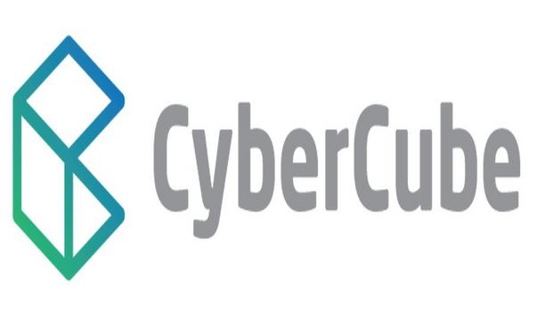 CyberCube highlights areas of focus for the cyber insurance and broking community
