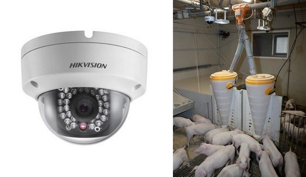 Hikvision mini-dome cameras and SKOV VMS used for calculating and monitoring pigs' weight