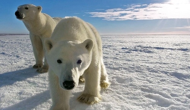 Milestone Systems' radar-based video surveillance system protects Hogle Zoo visitors from polar bears