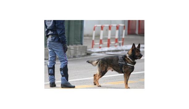 Dogs vs. Under Vehicle Scanners (UVIS)
