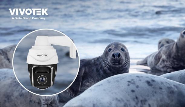 VIVOTEK cameras aid wildlife conservation in Port Phillip Bay