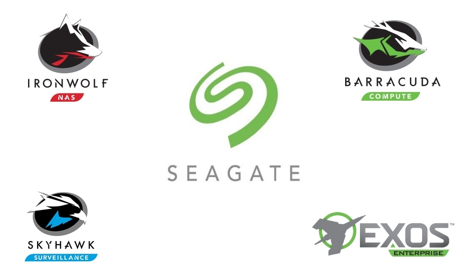 Seagate Living Logo – Creative Development