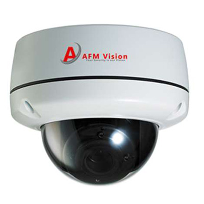 AFMVision AFM-VDA101SM2Ti 2 megapixel IR vandal proof dome IP camera