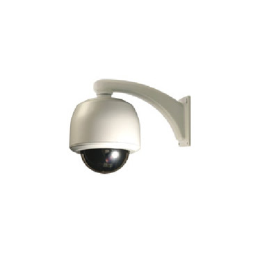 DVTel DVT-9701-CW - high-resolution network dome camera 