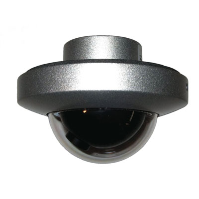 Pecan D056C(S) 1/3 colour 480 TVL dome camera