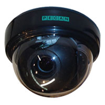 Pecan D133 1/3-inch internal dome camera
