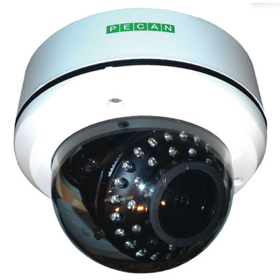 Pecan VRD141 1/3 inch CCD true day / night 600 TVL vandal-resistant dome camera