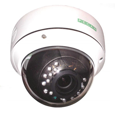 Pecan VRD146L 1/3 inch CCD 600 TVL IR LED dome camera