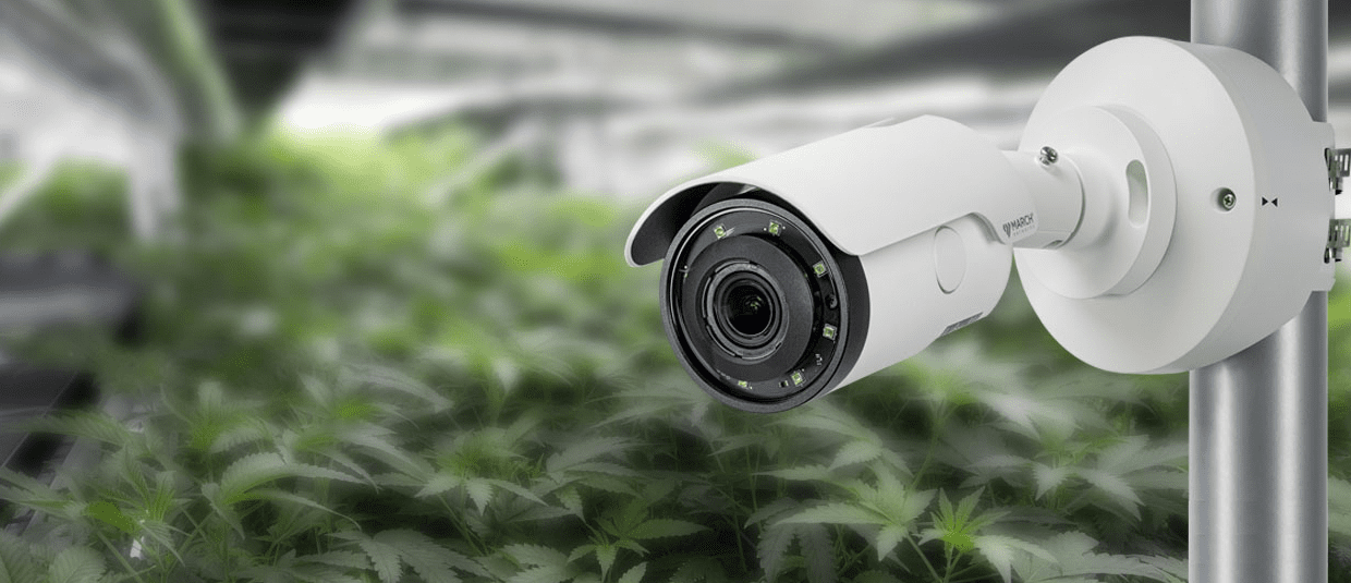 Securing your growth with video surveillance